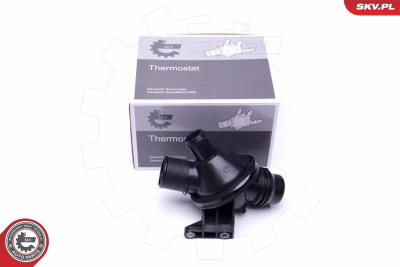 Thermostat, coolant
